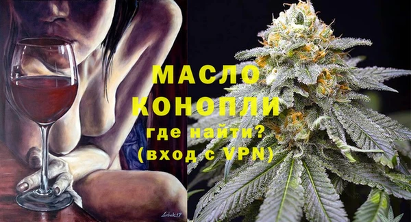 спиды Горняк