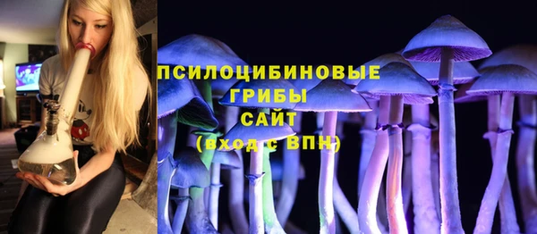 спиды Горняк