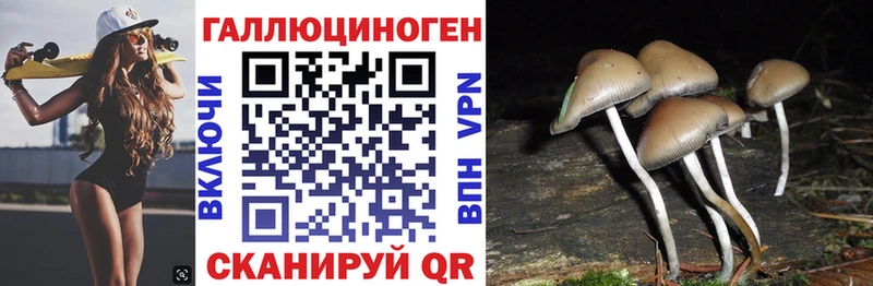 Галлюциногенные грибы Psilocybe Карталы