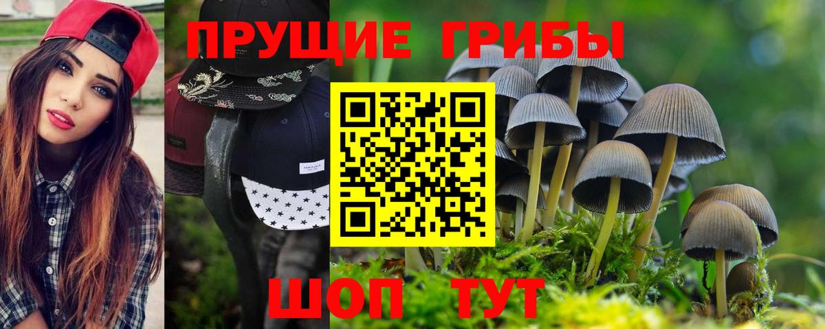 Псилоцибиновые грибы GOLDEN TEACHER  Галлюциногенные грибы Psilocybine cubensis  Вход с VPN  Карталы 