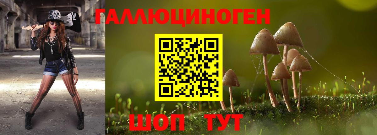 Псилоцибиновые грибы GOLDEN TEACHER Карталы